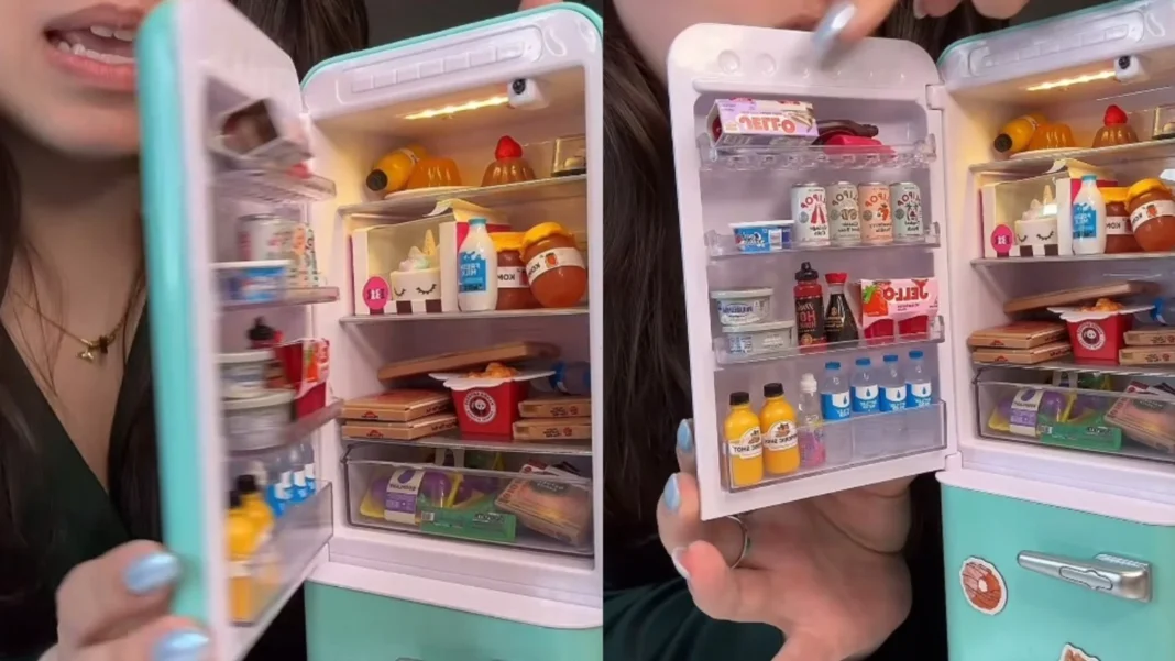 geladeira-5 (1) mini geladeira